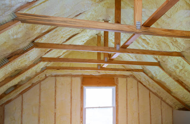 Best Insulation Removal  in Converse, TX