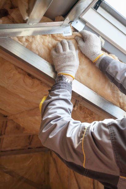 Best Insulation for New Construction  in Converse, TX