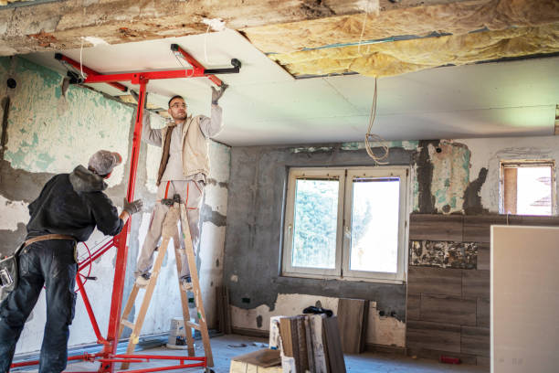Best Best Insulation Companies  in Converse, TX
