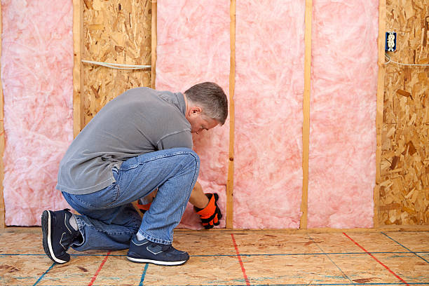 Insulation Repair Services in Converse, TX