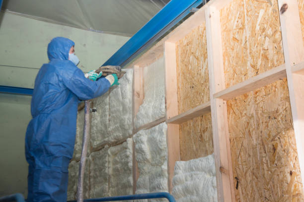 Best Blown-in Insulation  in Converse, TX