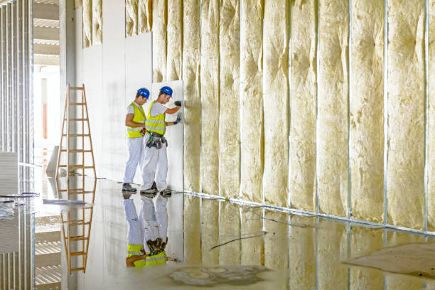 Best Insulation Replacement Services  in Converse, TX